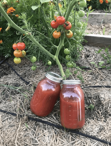 Grandma’s Inspired Tomato Sauce: The Base for a Plethora of Delicious Dishes