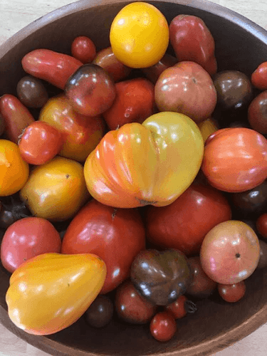 How to Home-Dry Tomatoes and a Farmer’s Frittata Recipe