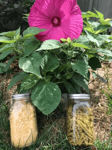 crispy corn