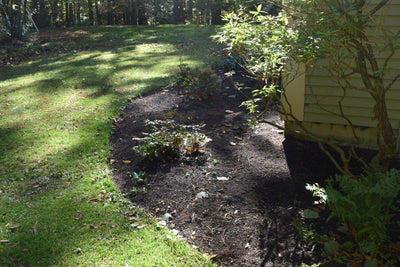 Garden Update Pt: 8 Fall Cleanup