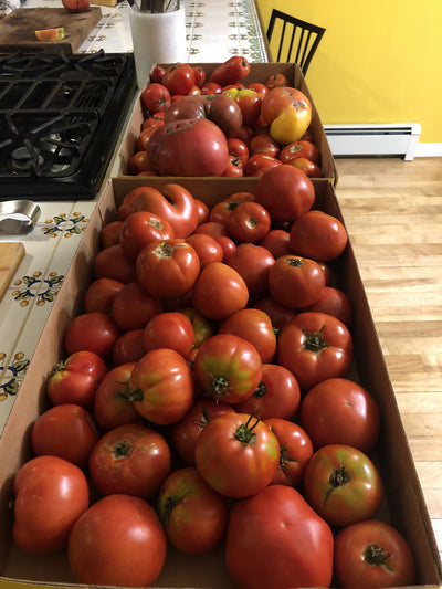 How To Get The Most Out Of Harvest Season