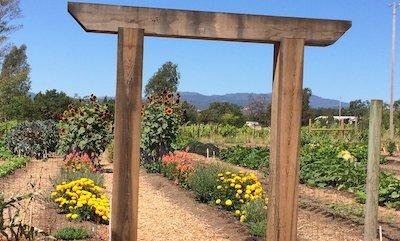 The True Explanation of a Medicinal Food Garden