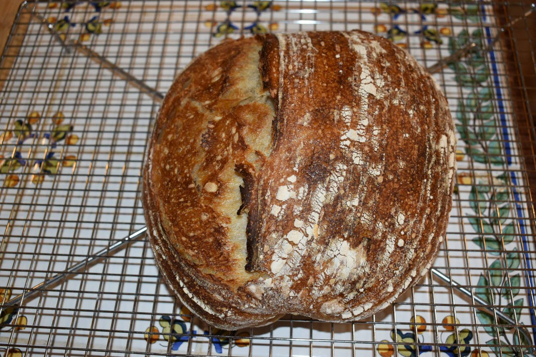 Ancient Grains