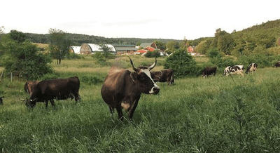 We're Partnering With Biodynamic Farms and a State-of-the-Art Production Facility!