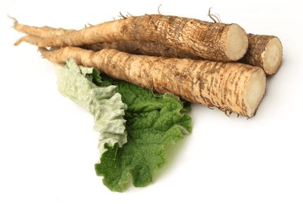 Why Burdock Root Is in Many Famous Herbal Cancer Formulas