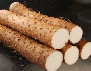 Chinese Wild Yam- Seeking the "Light" Plant