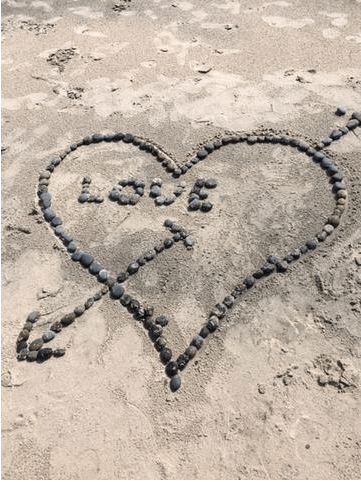 A Thanksgiving Gratitude: How the Heart Looks Out for Us