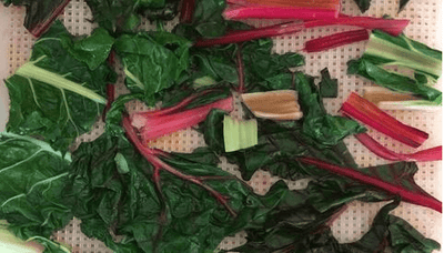 The Beauty and Power of the "Vulgar" Plant
