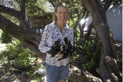 Mineral-Rich, Hand-Harvested, High-Protein Nori Powder