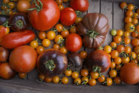 Tomato Salt, a Love Story