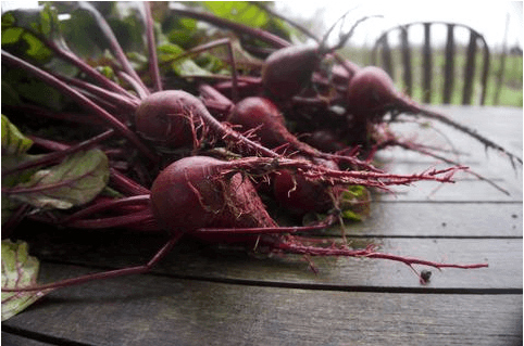 The One Vegetable I Would Want If Stranded on a Desert Island