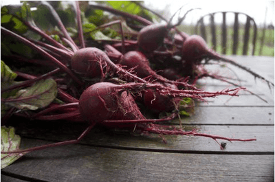 The One Vegetable I Would Want If Stranded on a Desert Island