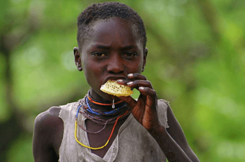 Learn How Biodiversity Can Improve Your Microbiome!
