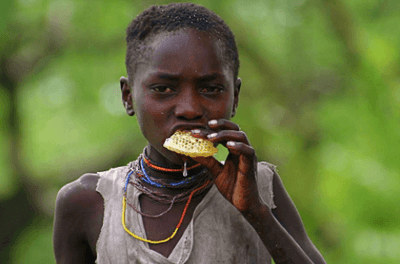 Learn How Biodiversity Can Improve Your Microbiome!