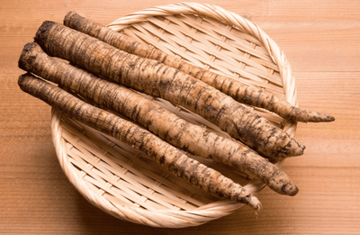 The Tenacious and Hardy Burdock Root Helps Us Clear ‘Toxic Heat’