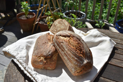 Getting Started With Sourdough Bread Part 1