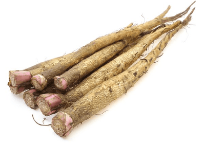 'Everyone Has a Healing Food; Burdock Root Is Mine'