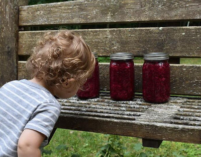 Turn Off the TV (Part II) and Make Sauerkraut