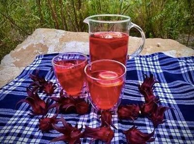 Healing Beverage: Hibiscus H20