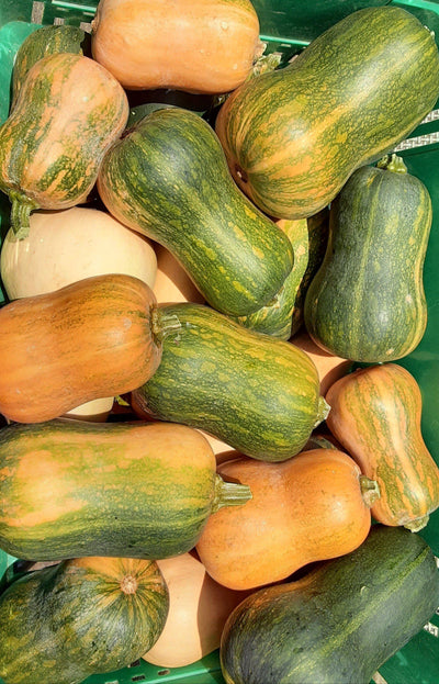 You Help Us Support Small Organic Growers