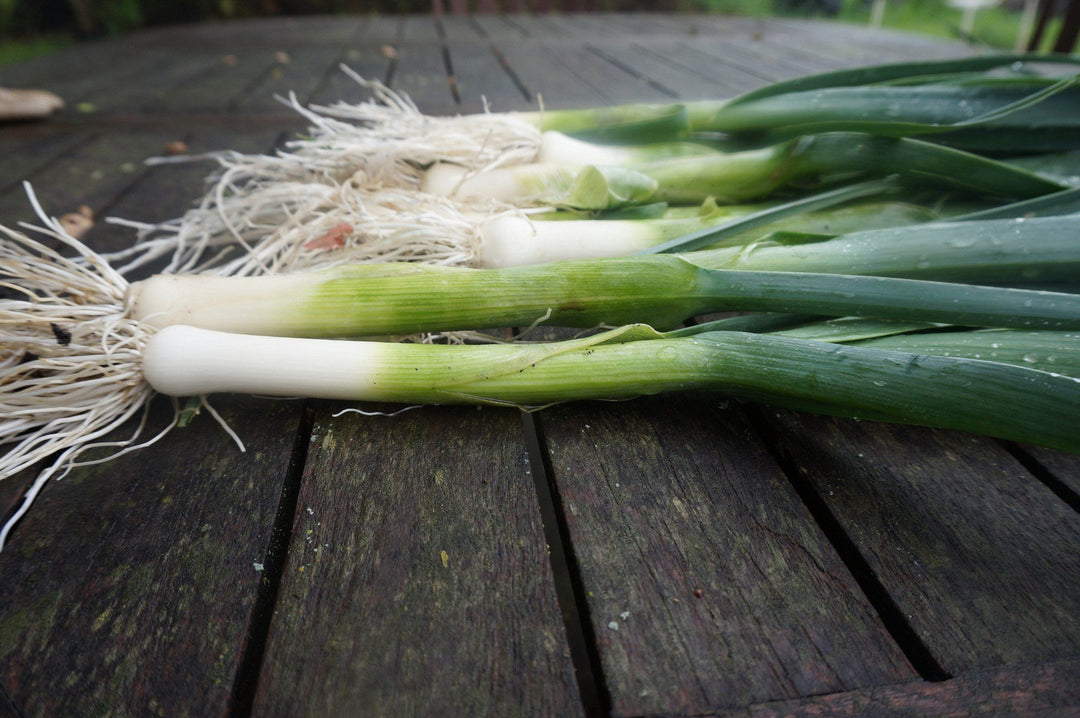 The Humble Leek: The Link Between Nutrition and Flavor