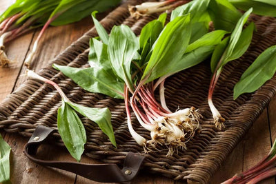 Simple Wild Ramp Butter