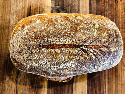 Getting Started with Sourdough Bread Part 2