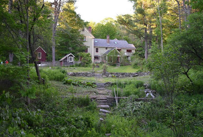 Manifesting a Vision Means Clearing What Doesn’t Serve