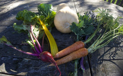 How Eating From Each Plant ‘Sphere’ Nourishes the Whole Human Being