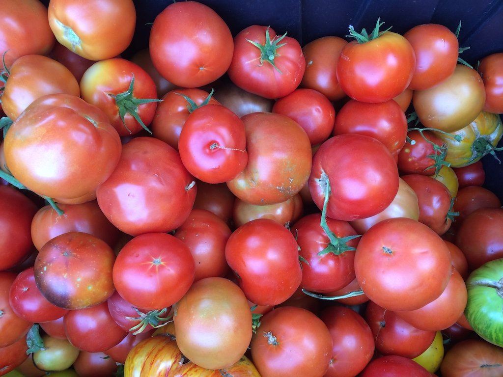Stock Up Now on Vegetables to Preserve for Winter