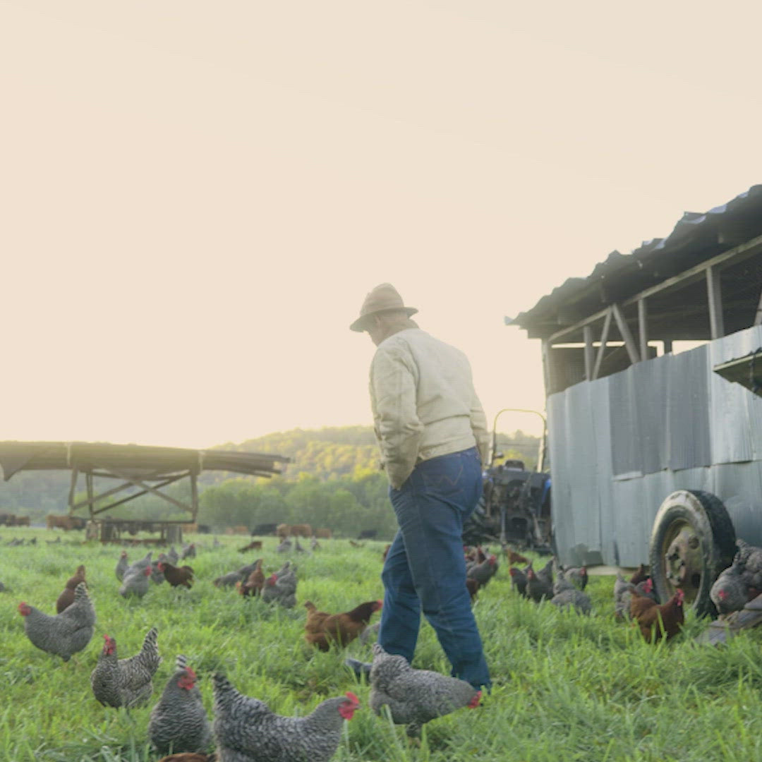 Pasture Chicken Box