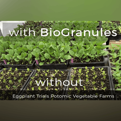 BioGranules