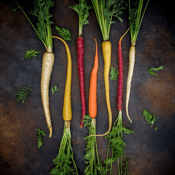 Organic Carrot Powder