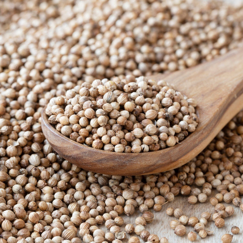 Certified Organic Coriander Seed Oil