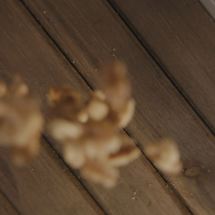 Small-Batch Sprouted Granola – Apple Walnut Crisp