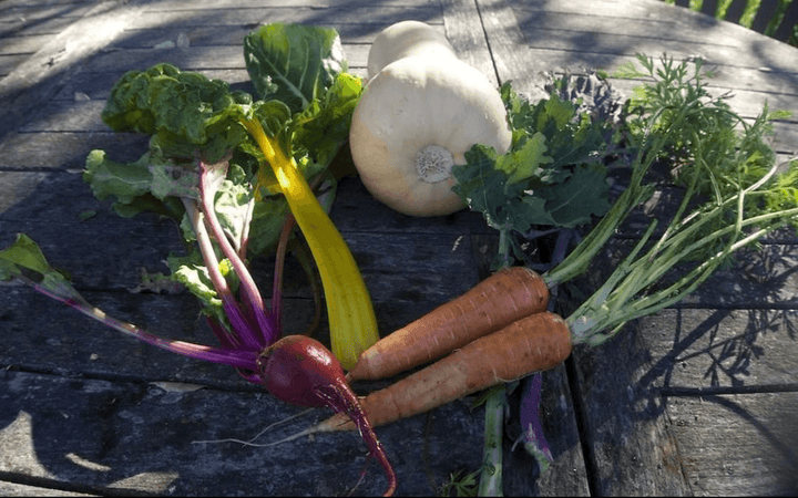 Organic Threefold Blend Powder - Slightly Sweet (Refill Pouch) - Dr. Cowan&